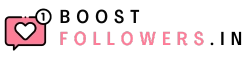 boostfollowers.in Logo